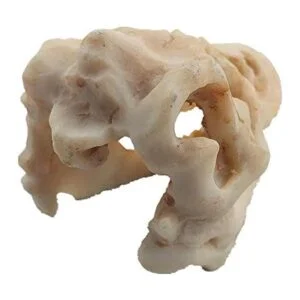 Decoración de acuario de dinosaurio adorno de calavera_5