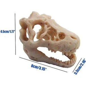 Decoración de acuario de dinosaurio adorno de calavera_4