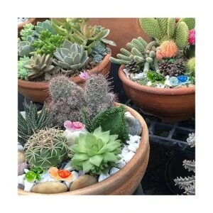 Figura de tortuga de mar en miniatura figuras de tortuga_7