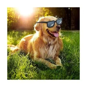 Thug Life Gafas de sol clásico negro estilo retro 8 bits_6