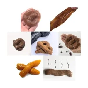 PPXMEEUDC Excremento falso de diferentes formas para_5