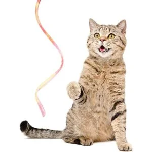 3 piezas de varita de gato de la selva juguete_3