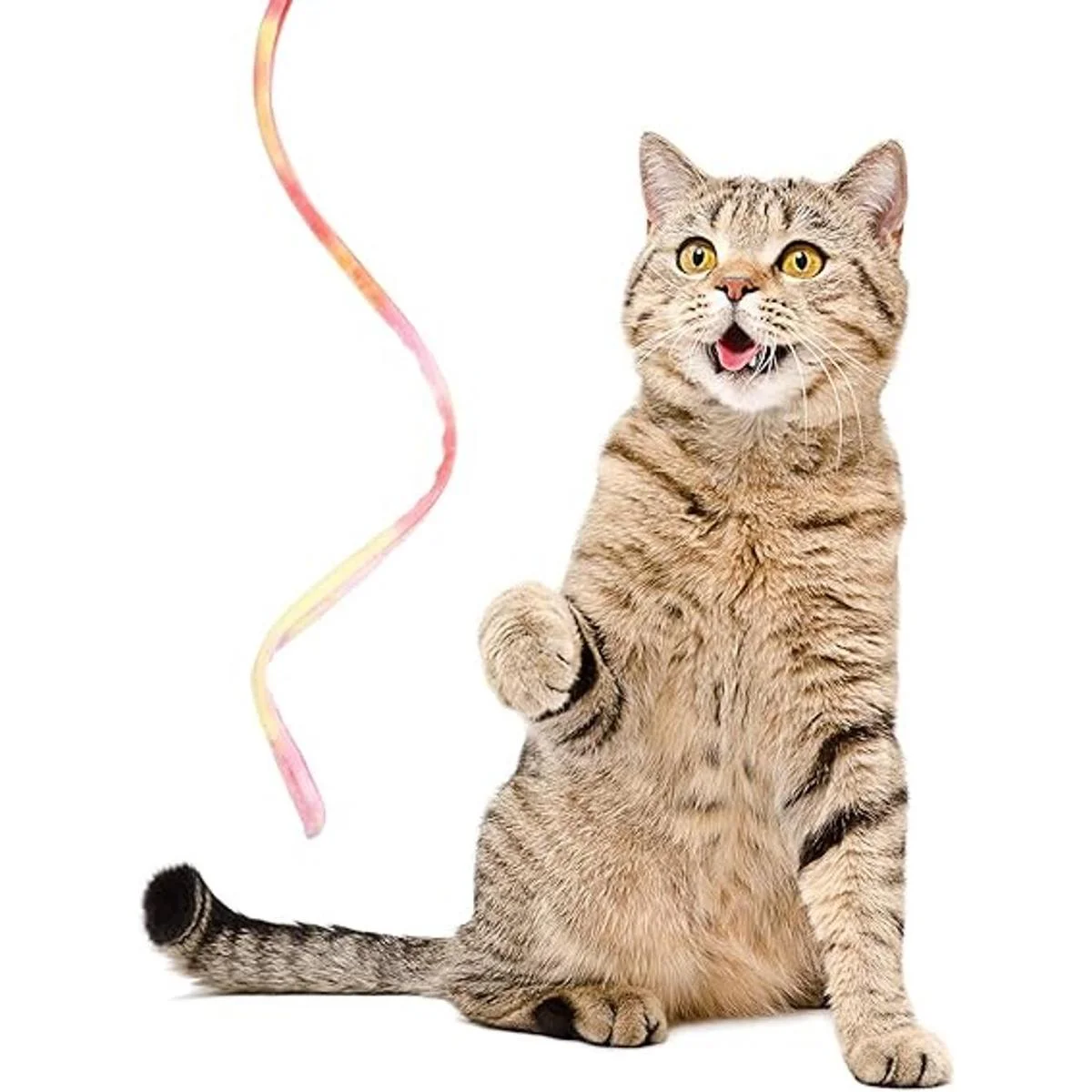 3 piezas de varita de gato de la selva juguete_3