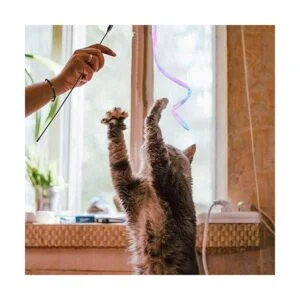 3 piezas de varita de gato de la selva juguete_7