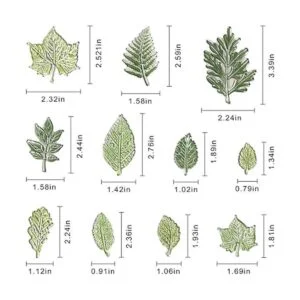 Muchos tipos de hojas verdes sellos de goma de silicona_3