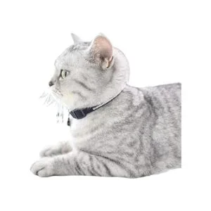 WDPAWS Collares de gato con diamantes de imitación_7