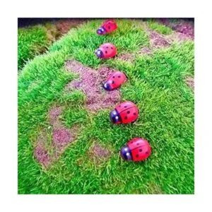 KDDOM 100 piezas de mariquita de madera autoadhesivos para_5