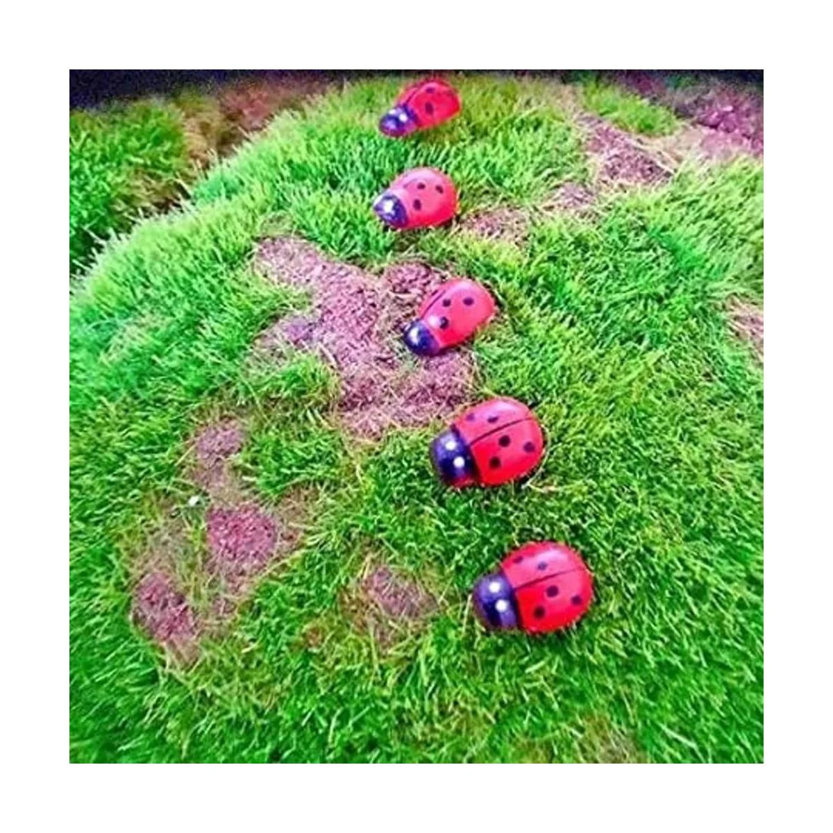 KDDOM 100 piezas de mariquita de madera autoadhesivos para_5