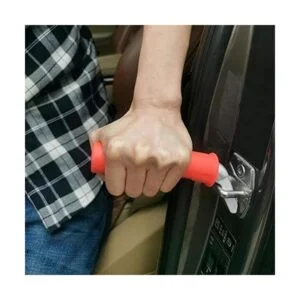 Valorcielo Auto Cane Mango portátil para puerta de coche_3