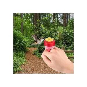 Comedero de colibrí para colibrí para uso al aire libre_6