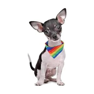 Tinsow 2 piezas de pañuelos transpirables para perros y_6