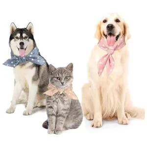 Bandana de perro de 5 piezas Bandana de verano para_4