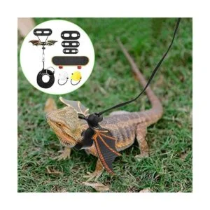 5 Pieces Bearded Dragon Accessories Toy Set Bearded Dragon_6