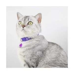 Collar de gato con campana collar de gato de luna collar_4