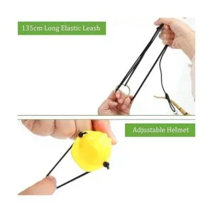 5 Pieces Bearded Dragon Accessories Toy Set Bearded Dragon_5