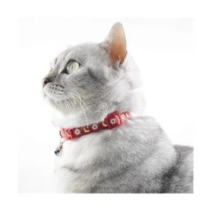 Collar de gato con campana collar de gato de luna collar_3