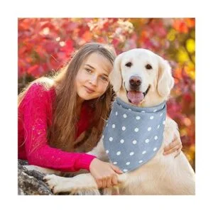 Bandana de perro de 5 piezas Bandana de verano para_7