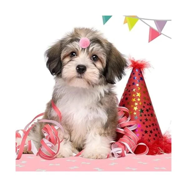 Waydress 40 piezas de pequeños lazos de perro perro_6