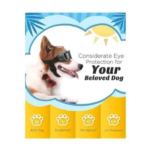 Lewondr Gafas de sol decorativas para perros pequeños_5