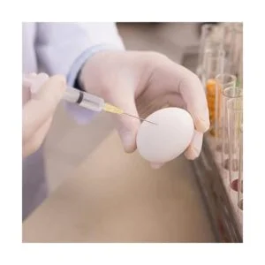 Jeringa Luer Slip de plástico sin aguja 0.7 fl oz 12_6