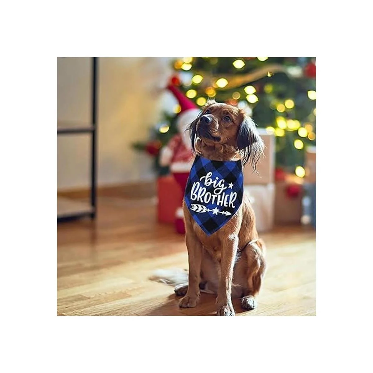 Bandana de perro a cuadros STMK Big Brother anuncio de_7