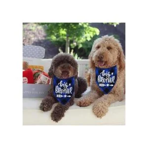 Bandana de perro a cuadros STMK Big Brother anuncio de_5