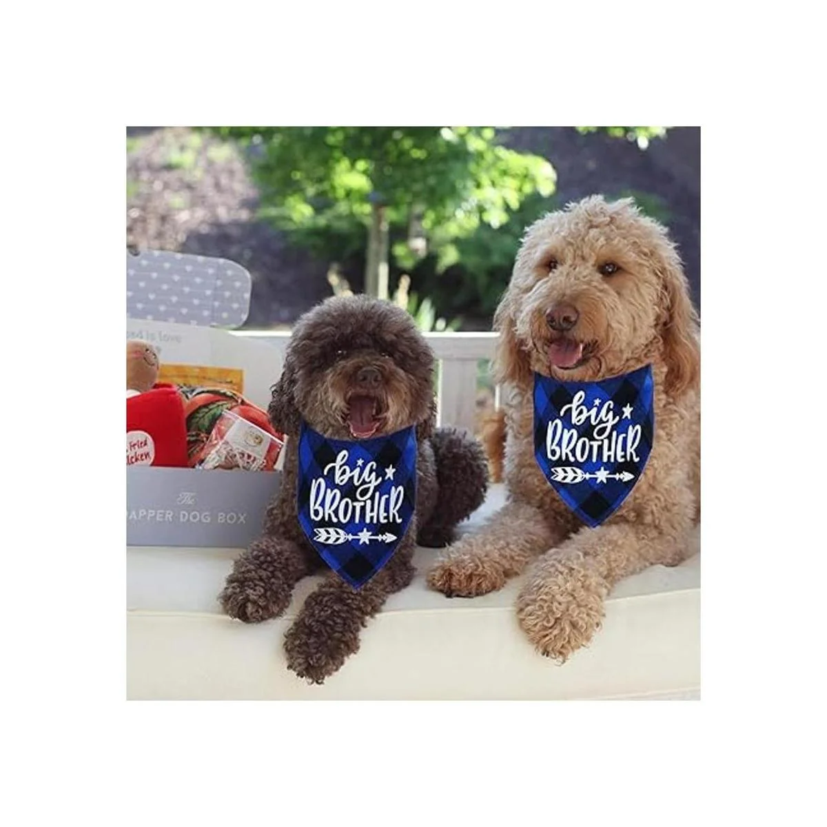 Bandana de perro a cuadros STMK Big Brother anuncio de_5