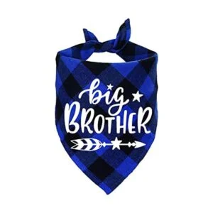 Bandana de perro a cuadros STMK Big Brother anuncio de_1