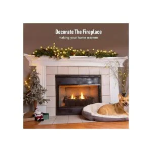 Coquimbo Guirnalda de luces LED de abeja de 10 pies 30_5