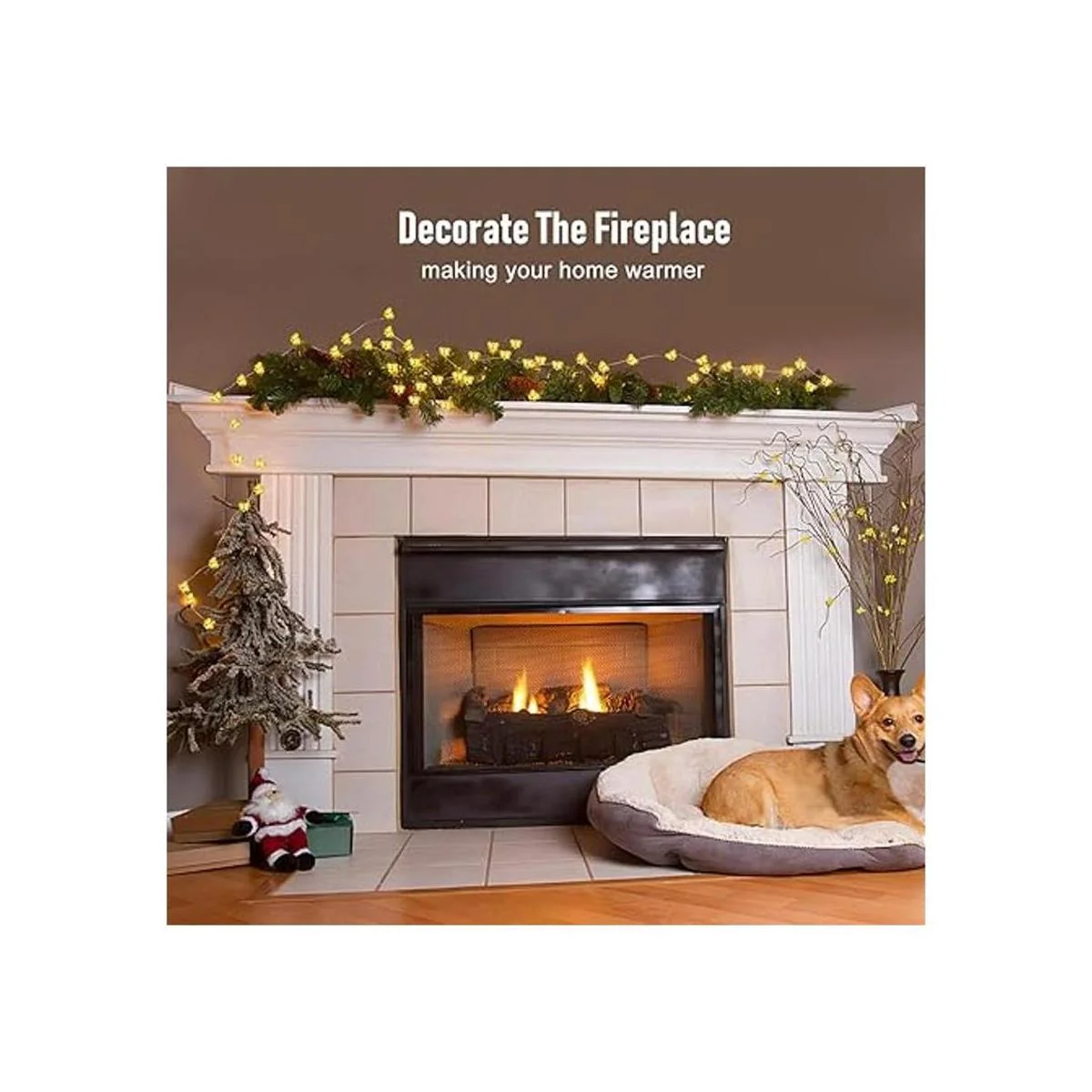 Coquimbo Guirnalda de luces LED de abeja de 10 pies 30_5