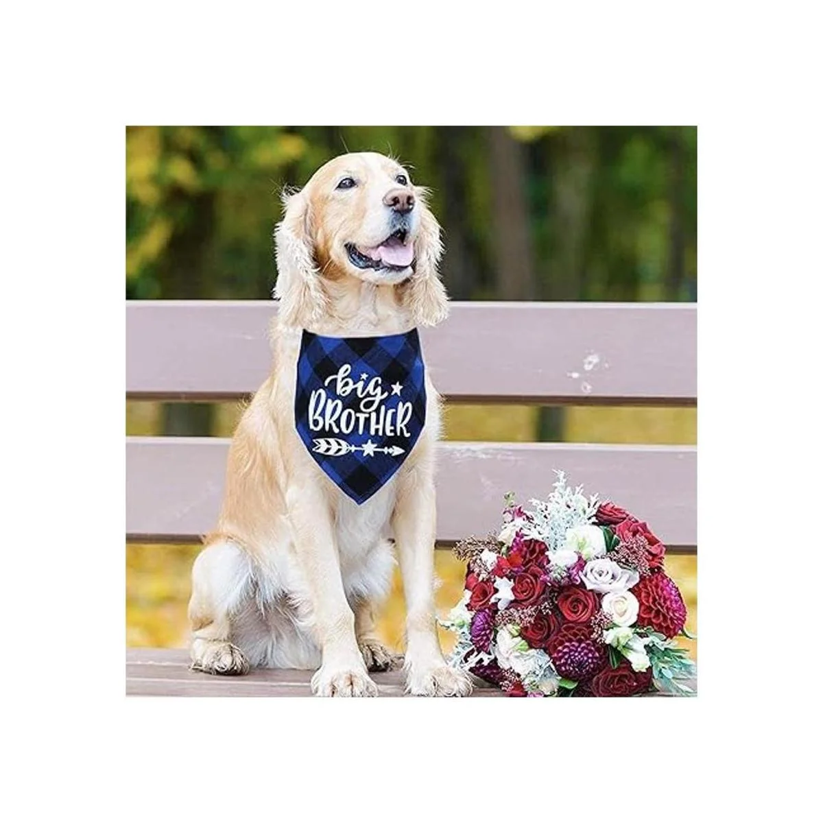 Bandana de perro a cuadros STMK Big Brother anuncio de_6