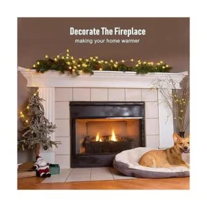 Coquimbo Guirnalda de luces LED de abeja de 10 pies 30_2