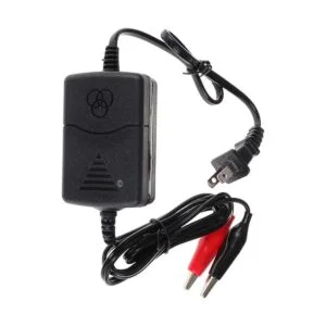 Cargador de batería de plomo ácido sellado de 12 V 100_1