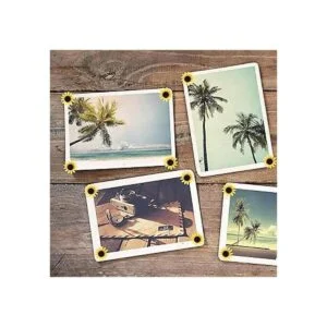 30 pines de girasol tachuelas decorativas de girasol para_5