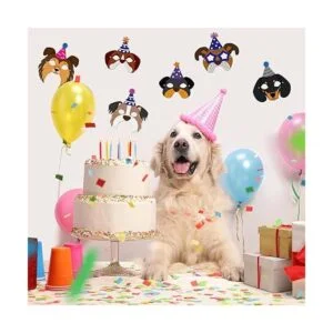 12 máscaras de cumpleaños para perro máscaras divertidas_3
