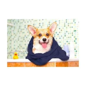 Toalla para perro toalla para mascotas paquete de 2_6