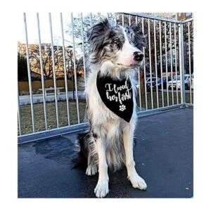 family Kitchen Divertido lindo compromiso negro mascota_3