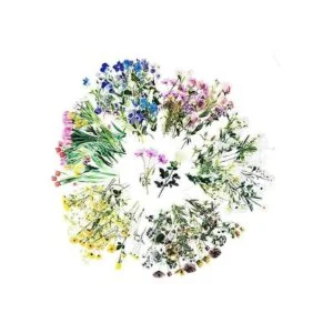 240 pegatinas de flores transparentes DIY decorativas_1