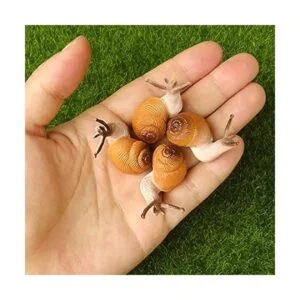 Acxico Juego de 5 figuras para decoración de terrario_2