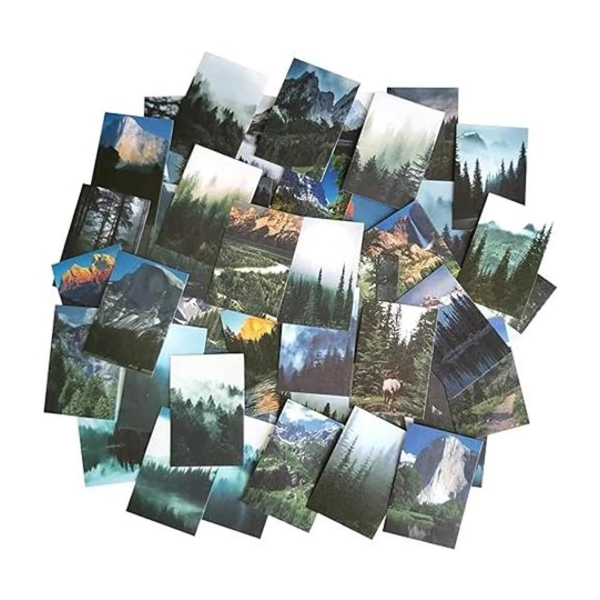 Kawaii Washi Juego de pegatinas con diseño de árboles de_1