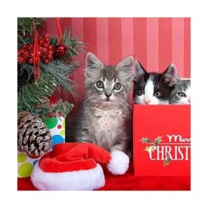 24 piezas acrílico pata llavero en blanco claro forma de_4