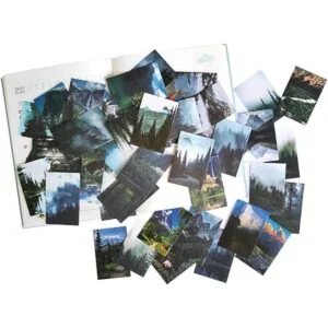 Kawaii Washi Juego de pegatinas con diseño de árboles de_3