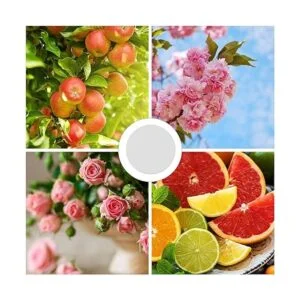 Maitys Discos aromáticos de repuesto para fregona de_6