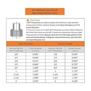 Hooshing Adaptador reductor de tubo de latón NPT hembra de_3