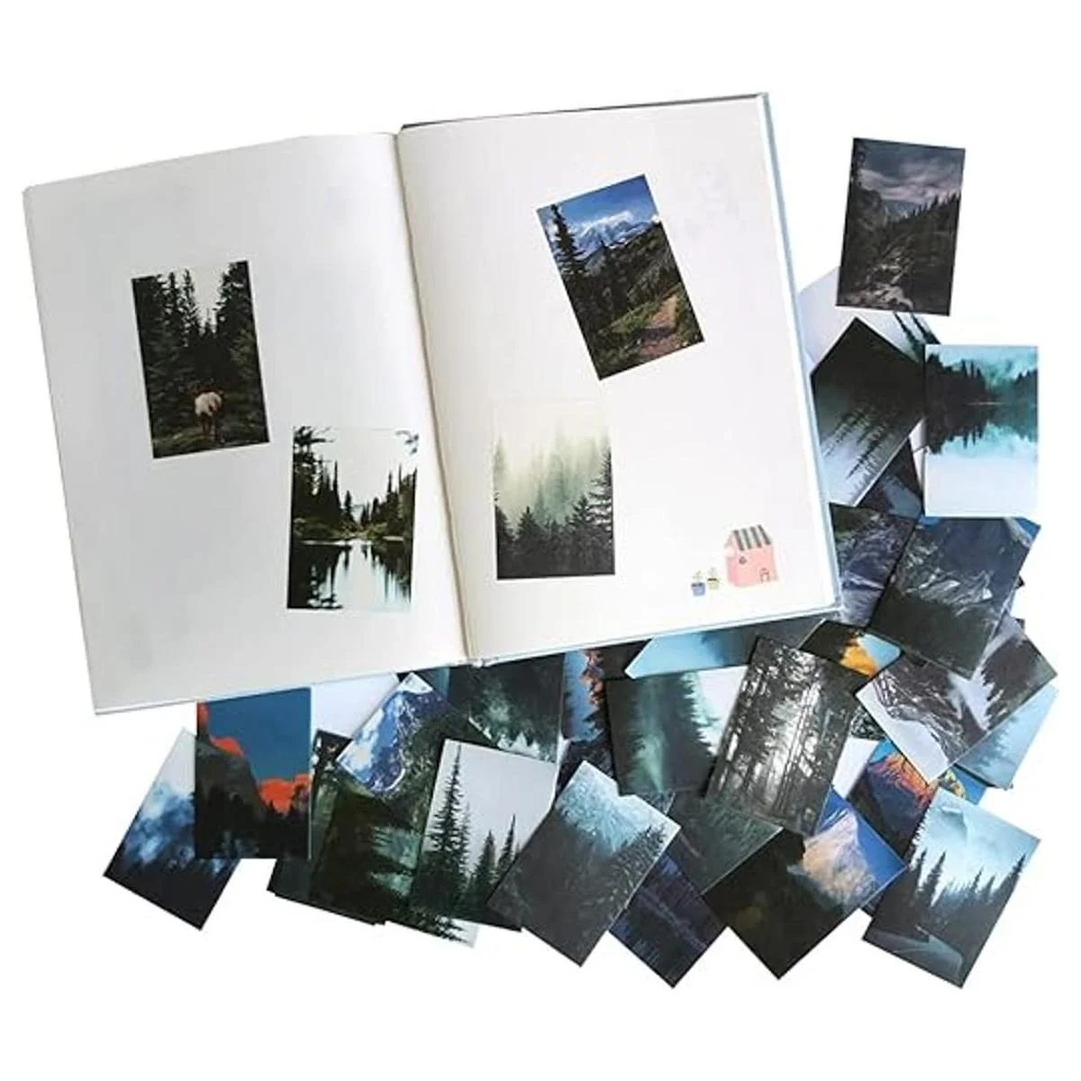 Kawaii Washi Juego de pegatinas con diseño de árboles de_5