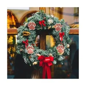 24 piezas acrílico pata llavero en blanco claro forma de_3