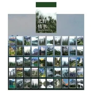 Kawaii Washi Juego de pegatinas con diseño de árboles de_2