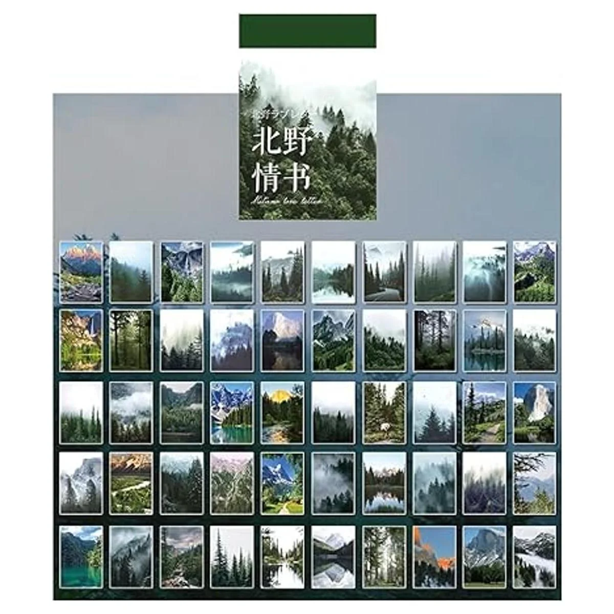 Kawaii Washi Juego de pegatinas con diseño de árboles de_2