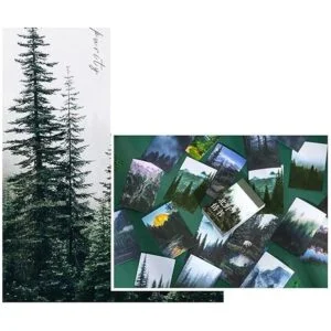 Kawaii Washi Juego de pegatinas con diseño de árboles de_6