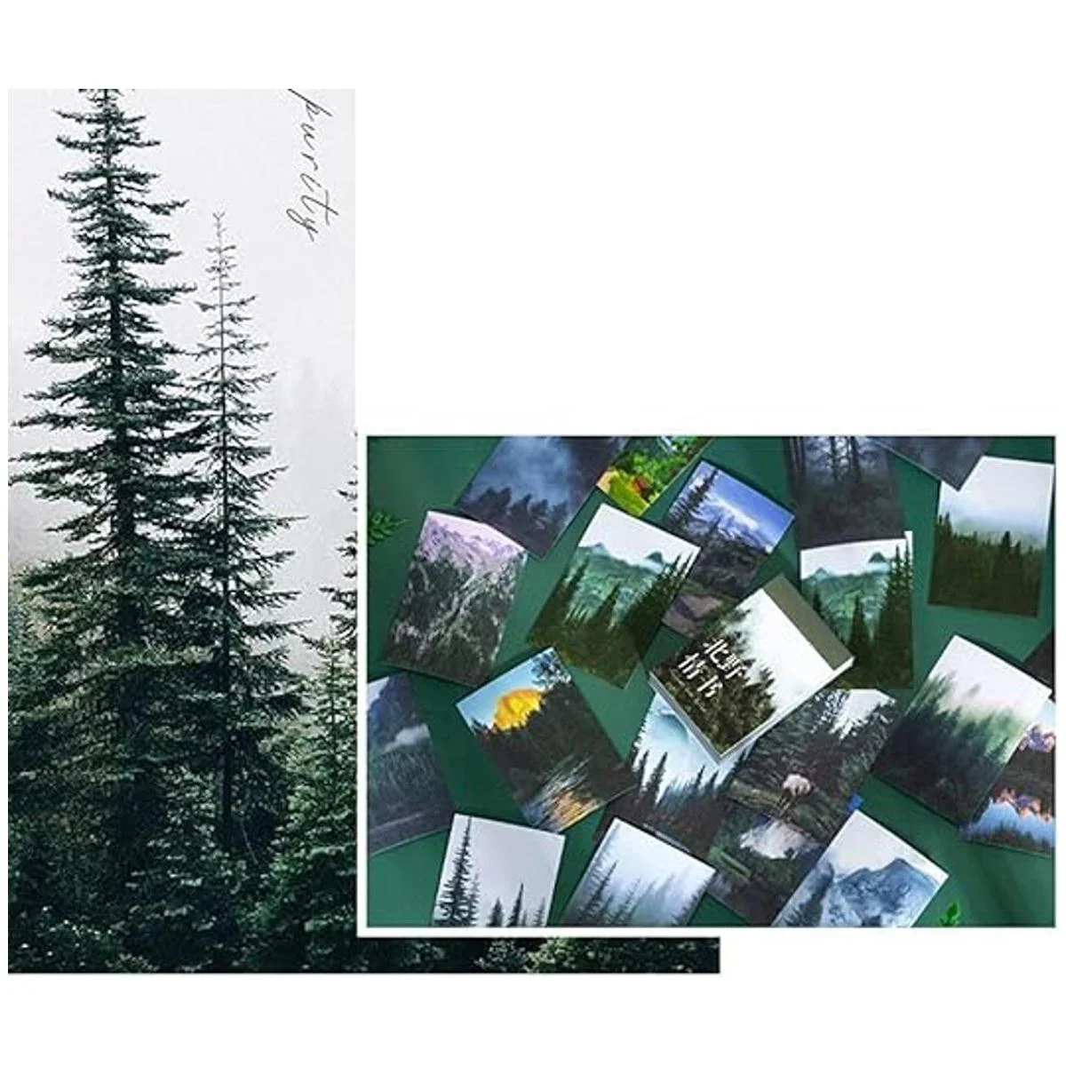 Kawaii Washi Juego de pegatinas con diseño de árboles de_6